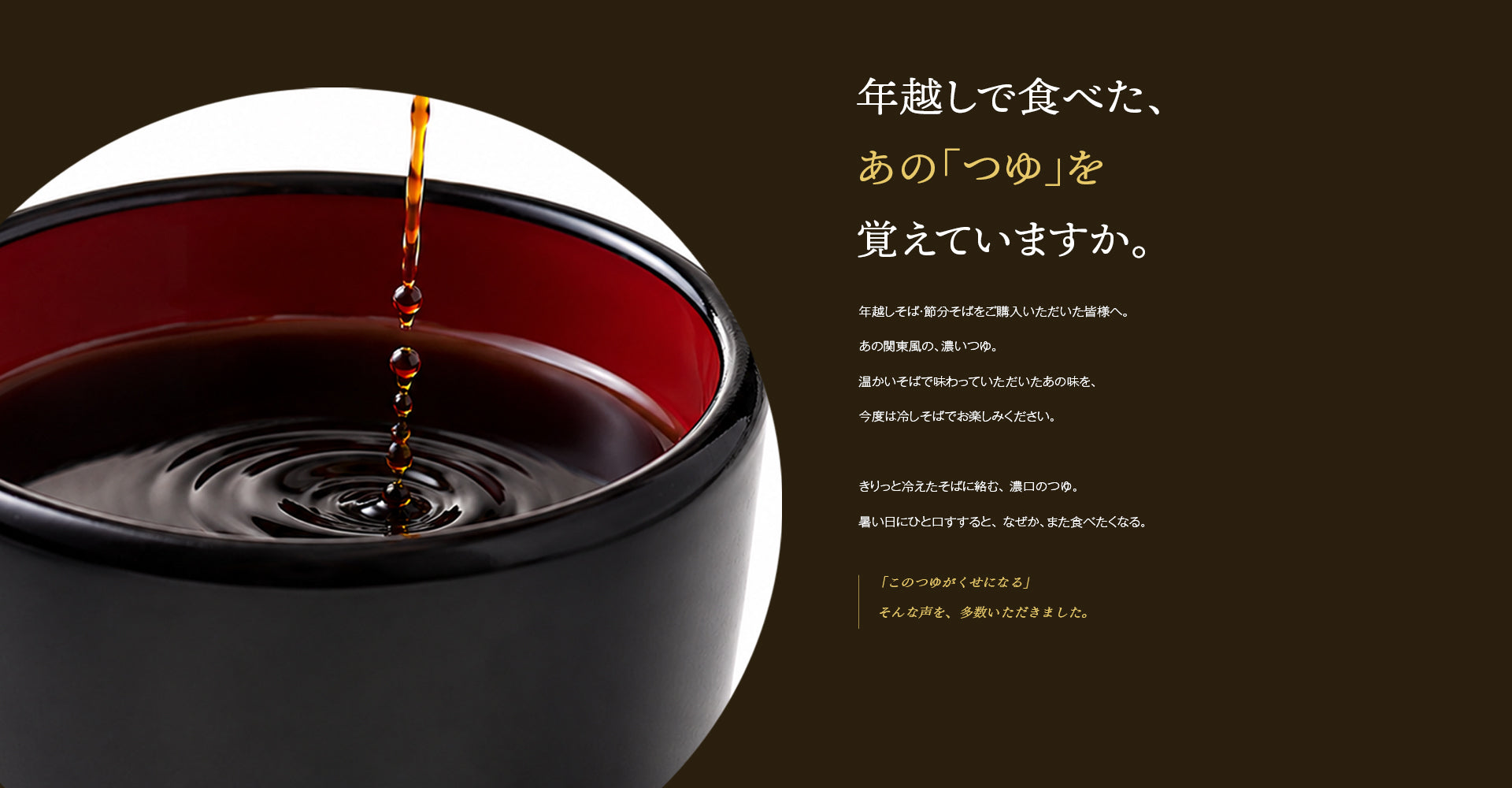 富士そば_濃口つゆ_冷えたそばに_つゆがクセになる